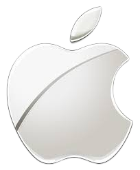 Our Client